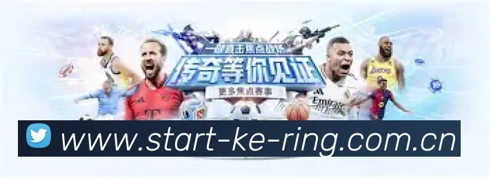 专业功能展示